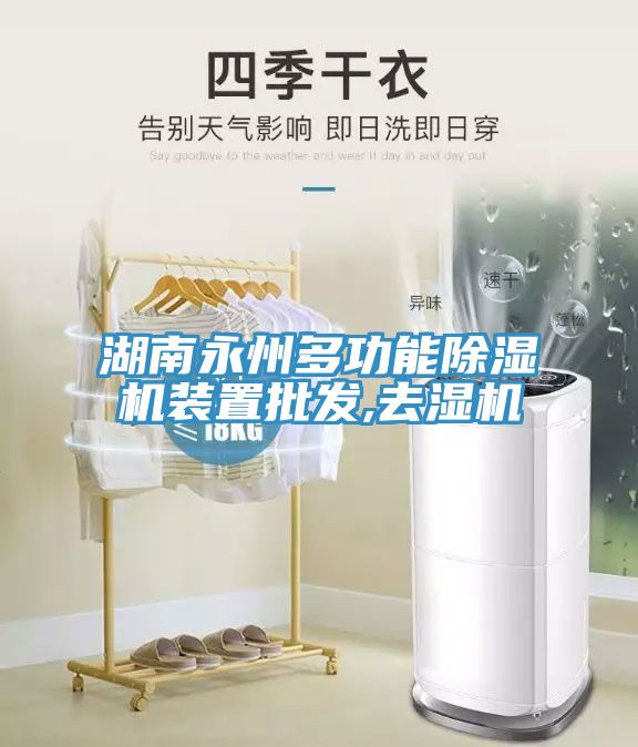 湖南永州多功能猫咪成人官网装置批发,去湿机