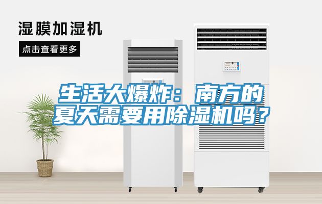 生活大爆炸：南方的夏天需要用猫咪成人官网吗？
