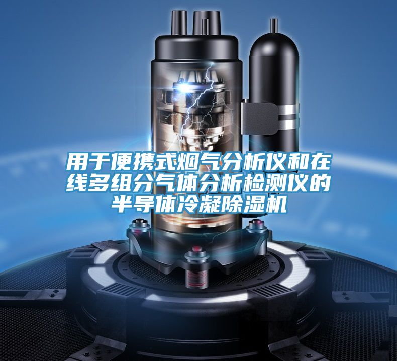 用于便携式烟气分析仪和在线多组分气体分析检测仪的半导体冷凝猫咪成人官网