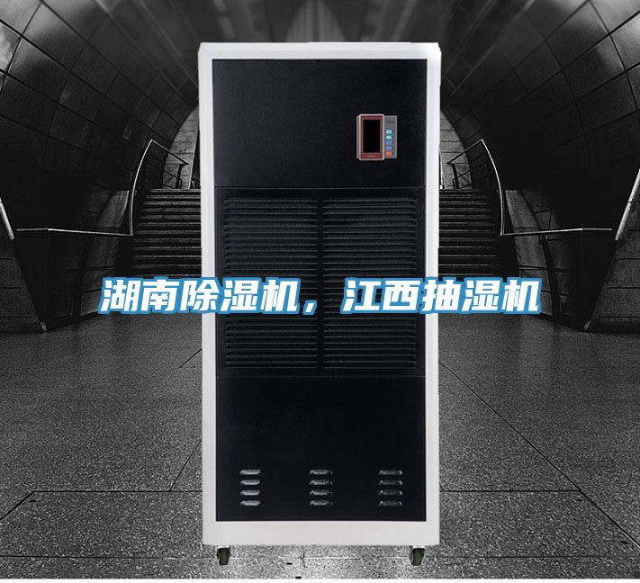 湖南猫咪成人官网，江西抽湿机