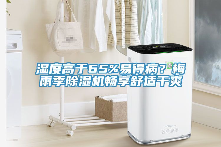 湿度高于65%易得病？梅雨季猫咪成人官网畅享舒适干爽
