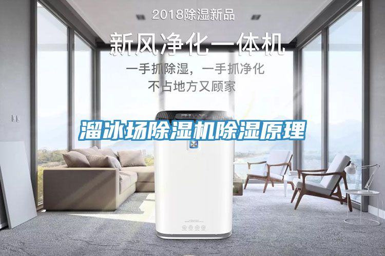 溜冰场猫咪成人官网除湿原理