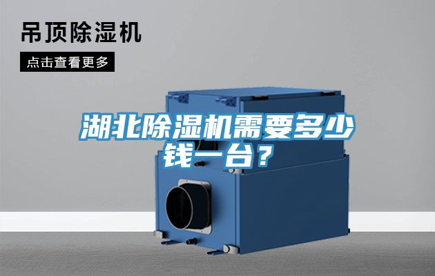 湖北猫咪成人官网需要多少钱一台？