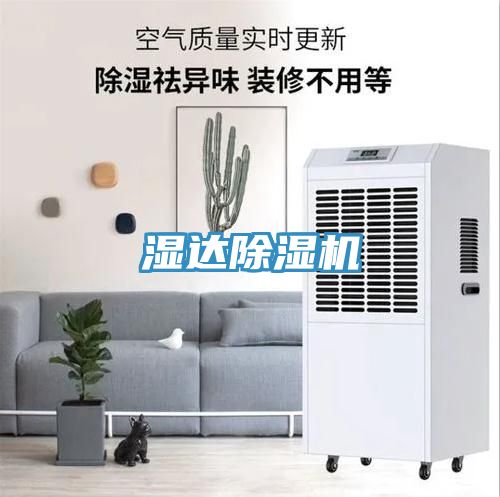 湿达猫咪成人官网
