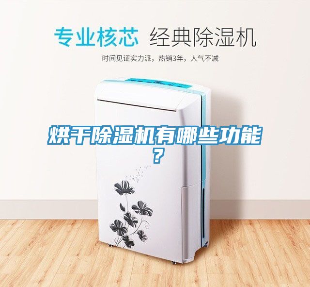 烘干猫咪成人官网有哪些功能？