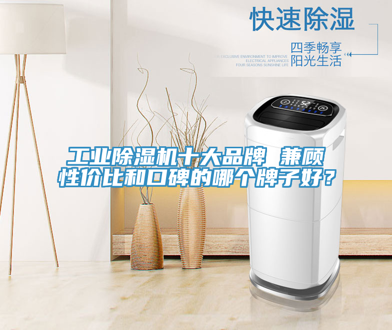 工业猫咪成人官网十大品牌 兼顾性价比和口碑的哪个牌子好？