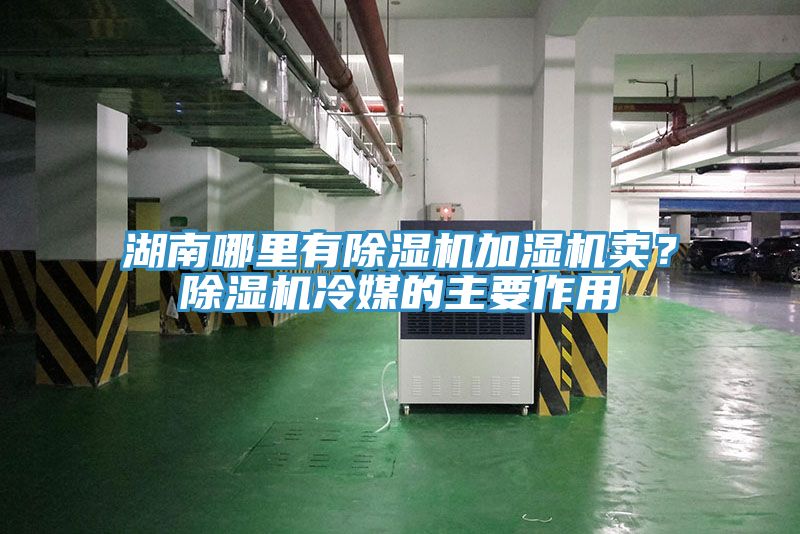 湖南哪里有猫咪成人官网加湿机卖？猫咪成人官网冷媒的主要作用
