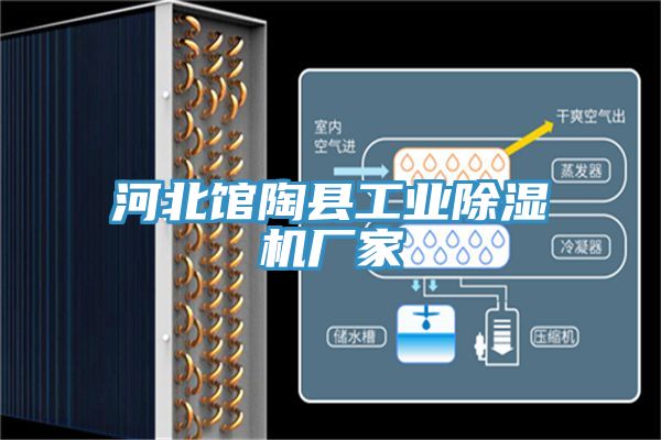河北馆陶县工业猫咪成人官网厂家