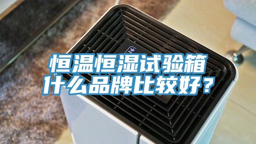恒温恒湿试验箱什么品牌比较好？