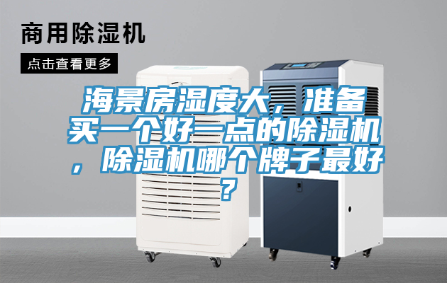 海景房湿度大，准备买一个好一点的猫咪成人官网，猫咪成人官网哪个牌子最好？