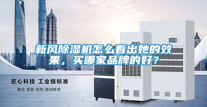 新风猫咪成人官网怎么看出她的效果，买哪家品牌的好？