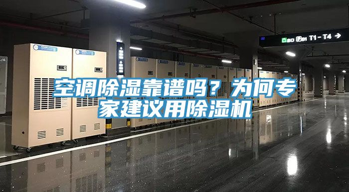 空调除湿靠谱吗？为何专家建议用猫咪成人官网