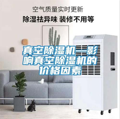 真空猫咪成人官网—影响真空猫咪成人官网的价格因素