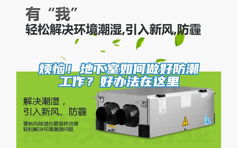 烦恼！地下室如何做好防潮工作？好办法在这里