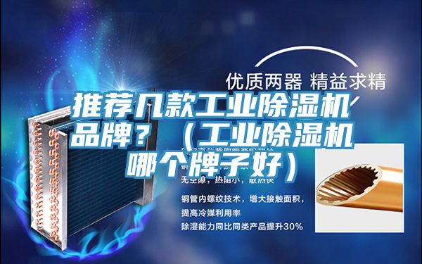推荐几款工业猫咪成人官网品牌？（工业猫咪成人官网哪个牌子好）