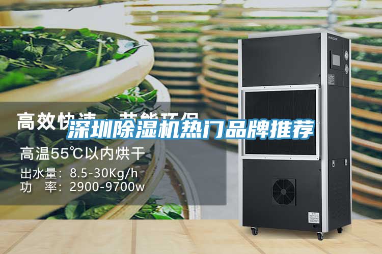 深圳猫咪成人官网热门品牌推荐