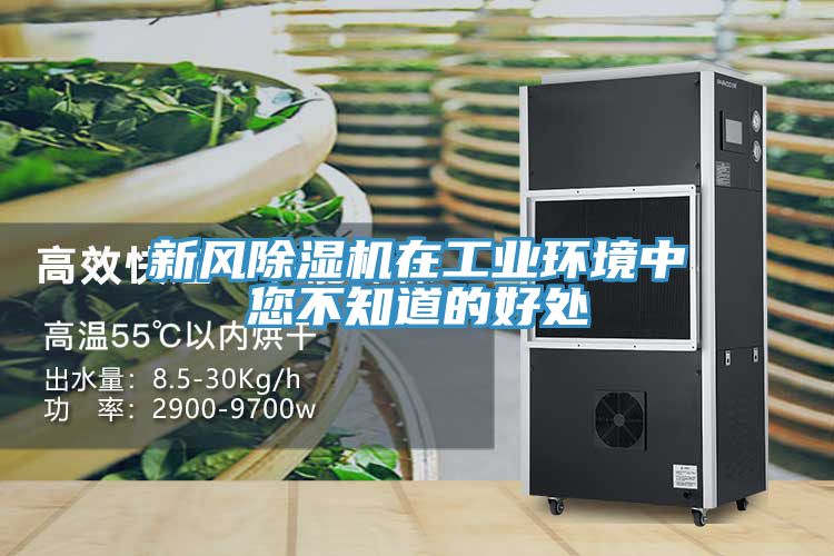 新风猫咪成人官网在工业环境中您不知道的好处