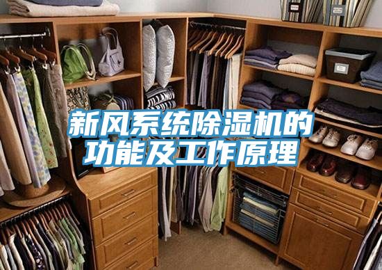 新风系统猫咪成人官网的功能及工作原理
