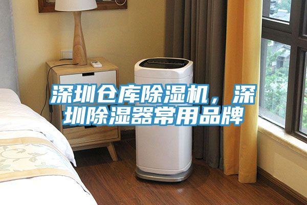 深圳仓库猫咪成人官网，深圳除湿器常用品牌