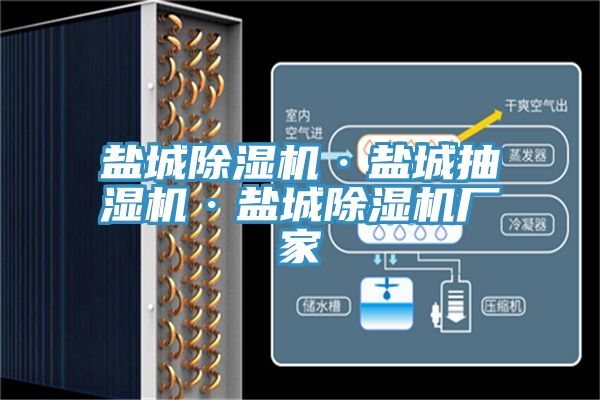 盐城猫咪成人官网·盐城抽湿机·盐城猫咪成人官网厂家