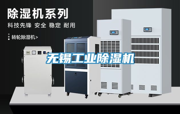 无锡工业猫咪成人官网