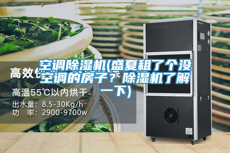 空调猫咪成人官网(盛夏租了个没空调的房子？猫咪成人官网了解一下)