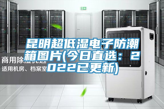 昆明超低湿电子防潮箱图片(今日直选：2022已更新)