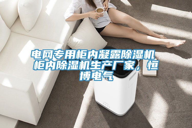 电网专用柜内凝露猫咪成人官网 柜内猫咪成人官网生产厂家，恒博电气