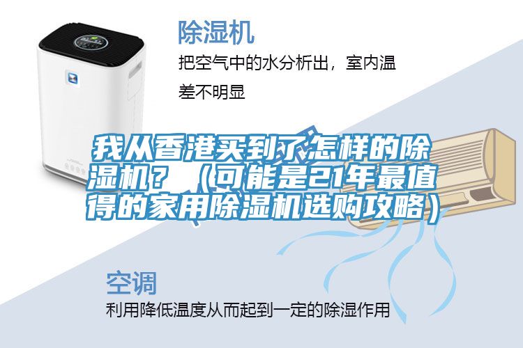 我从香港买到了怎样的猫咪成人官网？（可能是21年最值得的家用猫咪成人官网选购攻略）