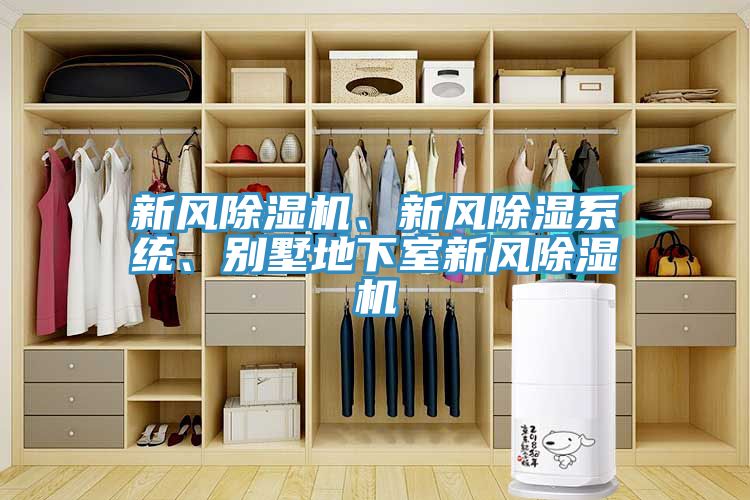 新风猫咪成人官网、新风除湿系统、别墅地下室新风猫咪成人官网