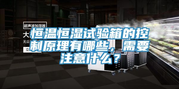 恒温恒湿试验箱的控制原理有哪些，需要注意什么？