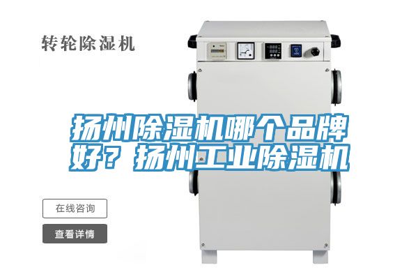 扬州猫咪成人官网哪个品牌好？扬州工业猫咪成人官网