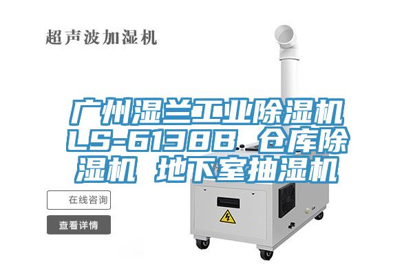 广州湿兰工业猫咪成人官网LS-6138B 仓库猫咪成人官网 地下室抽湿机