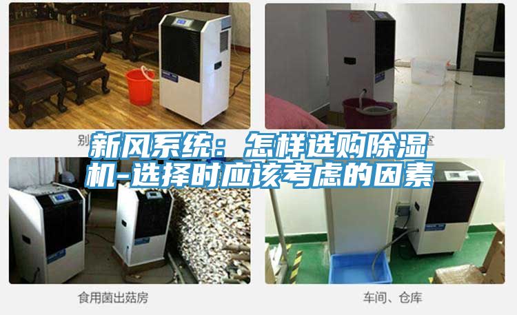 新风系统：怎样选购猫咪成人官网-选择时应该考虑的因素