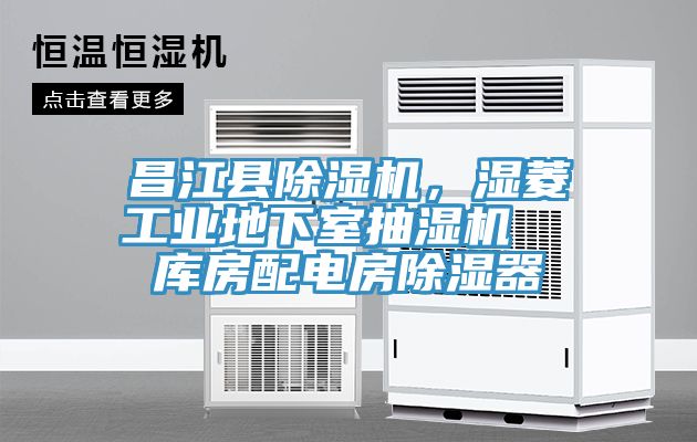 昌江县猫咪成人官网，湿菱工业地下室抽湿机  库房配电房除湿器