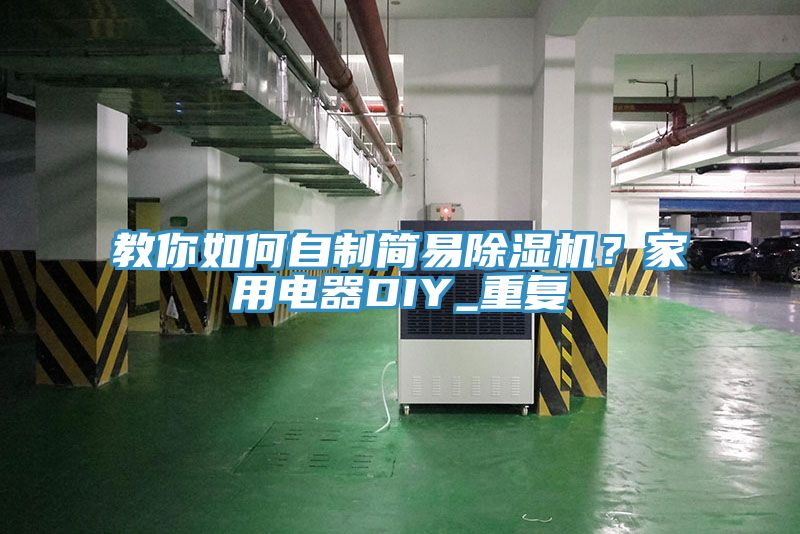 教你如何自制简易猫咪成人官网？家用电器DIY_重复