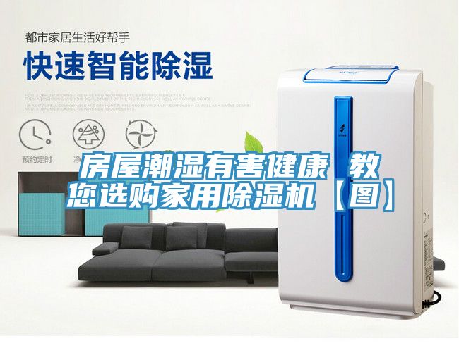 房屋潮湿有害健康 教您选购家用猫咪成人官网【图】