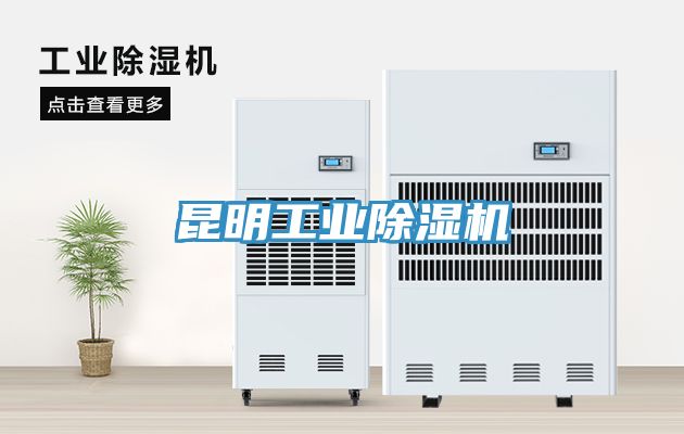 昆明工业猫咪成人官网