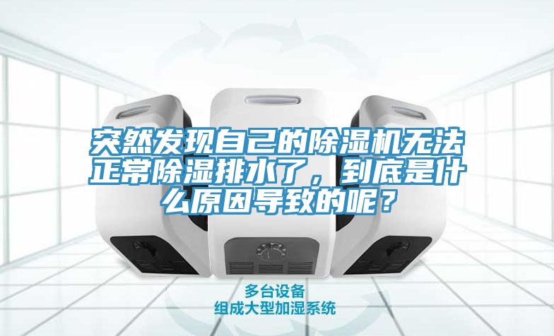突然发现自己的猫咪成人官网无法正常除湿排水了，到底是什么原因导致的呢？