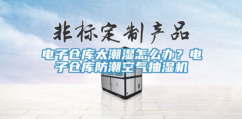 电子仓库太潮湿怎么办？电子仓库防潮空气抽湿机