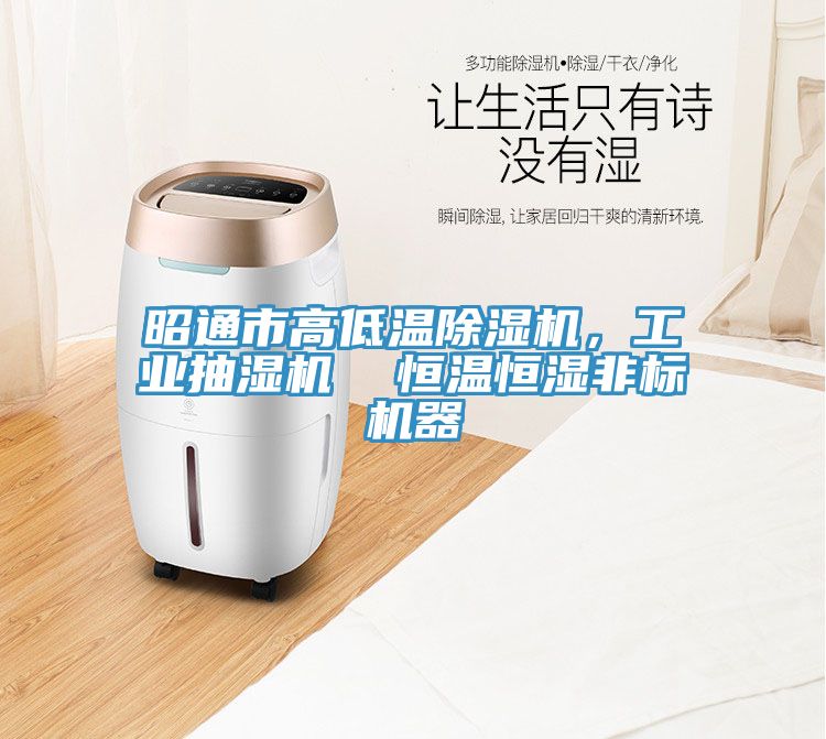 昭通市高低温猫咪成人官网，工业抽湿机  恒温恒湿非标机器