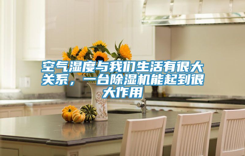 空气湿度与猫咪成人在线视频生活有很大关系，一台猫咪成人官网能起到很大作用
