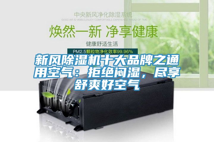 新风猫咪成人官网十大品牌之通用空气：拒绝闷湿，尽享舒爽好空气