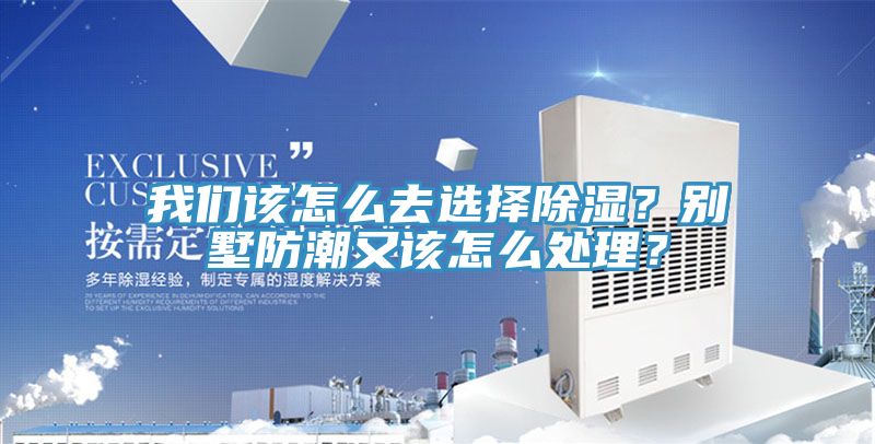 猫咪成人在线视频该怎么去选择除湿？别墅防潮又该怎么处理？