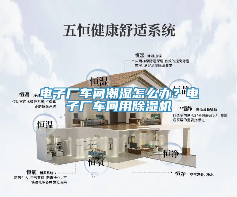 电子厂车间潮湿怎么办？电子厂车间用猫咪成人官网