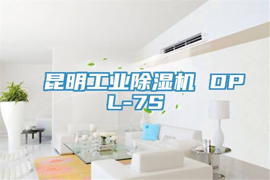 昆明工业猫咪成人官网 DPL-7S