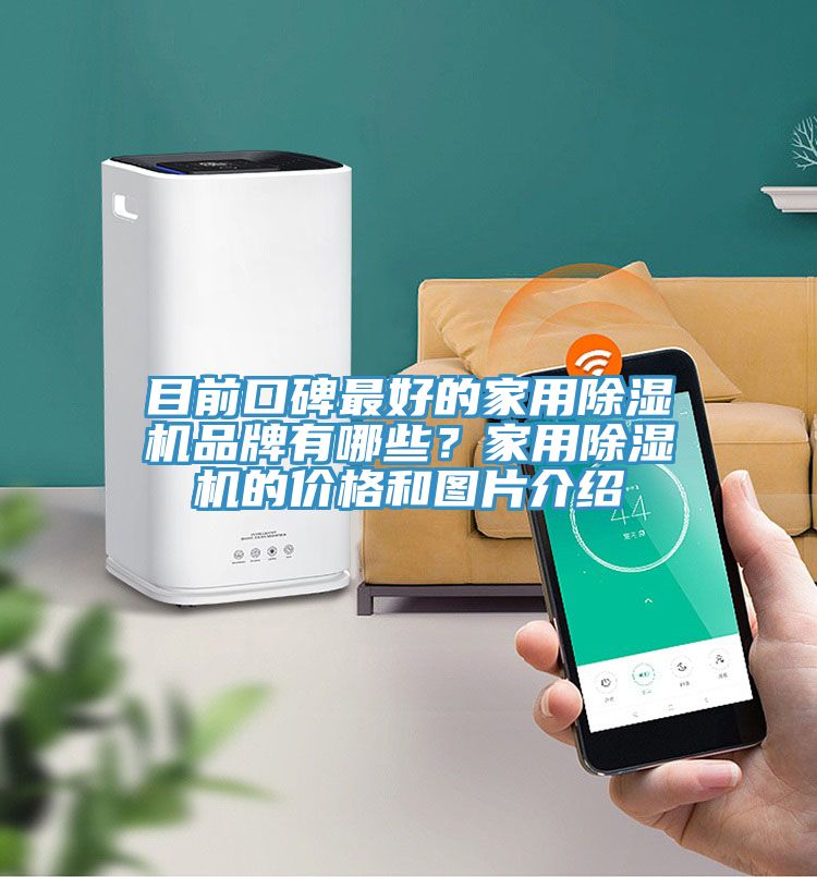 目前口碑最好的家用猫咪成人官网品牌有哪些？家用猫咪成人官网的价格和图片介绍