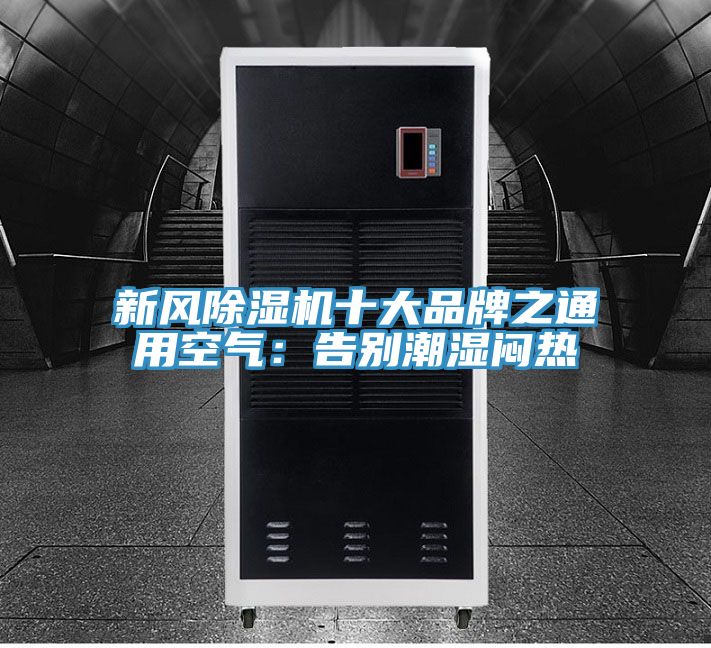 新风猫咪成人官网十大品牌之通用空气：告别潮湿闷热