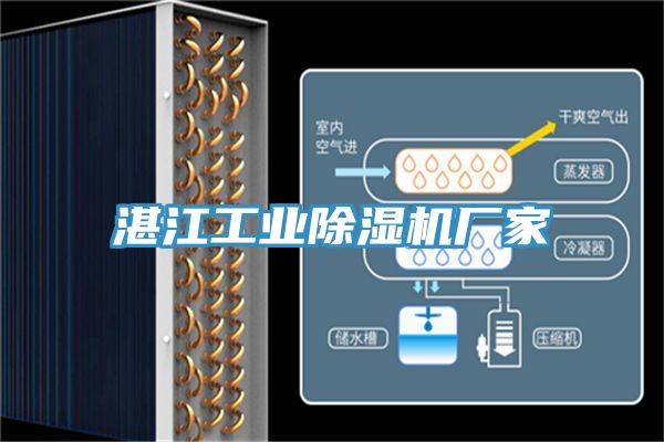 湛江工业猫咪成人官网厂家