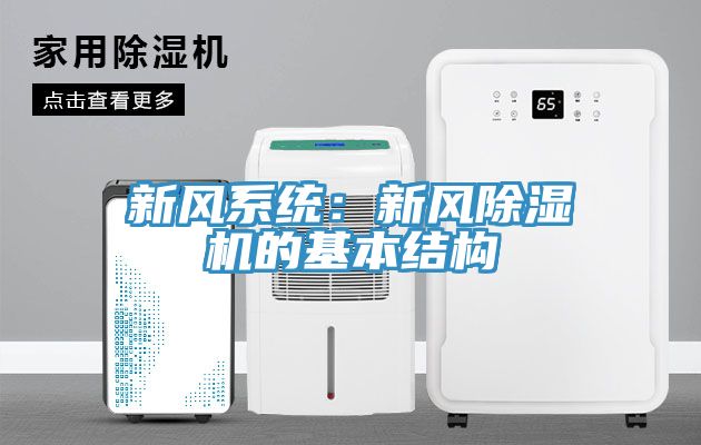 新风系统：新风猫咪成人官网的基本结构